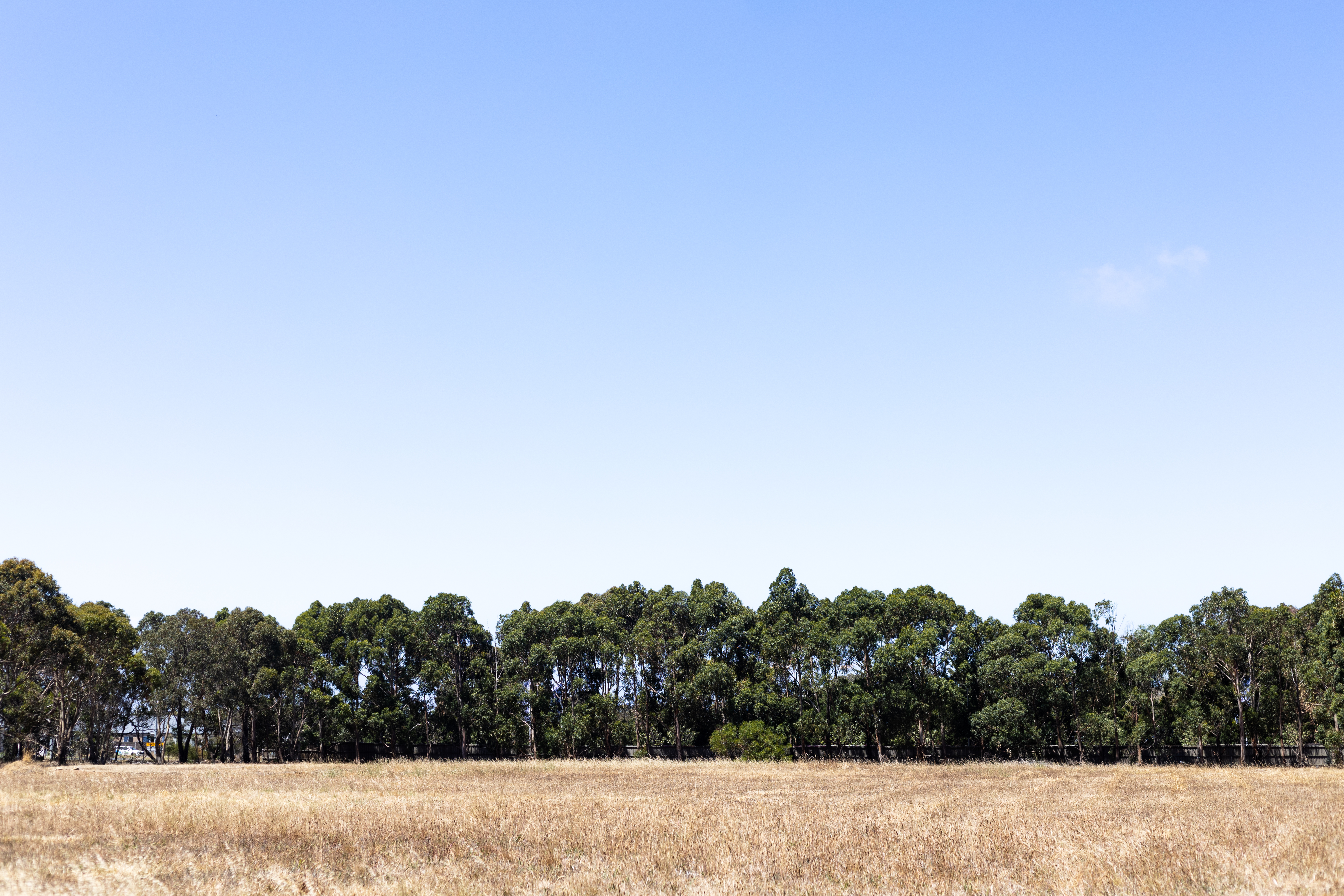 Burvilles Grove Land